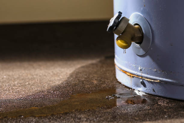 Best Residential water damage restoration  in Valrico, FL