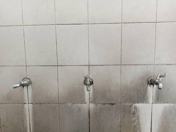Best Fire Damage Restoration  in Valrico, FL